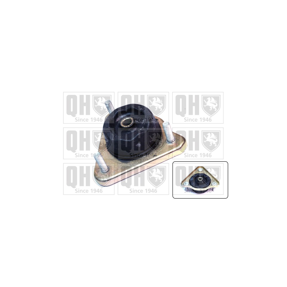 Image for QH EMR6010 Top Strut Mounting - Front exc.Bearing LH & RH