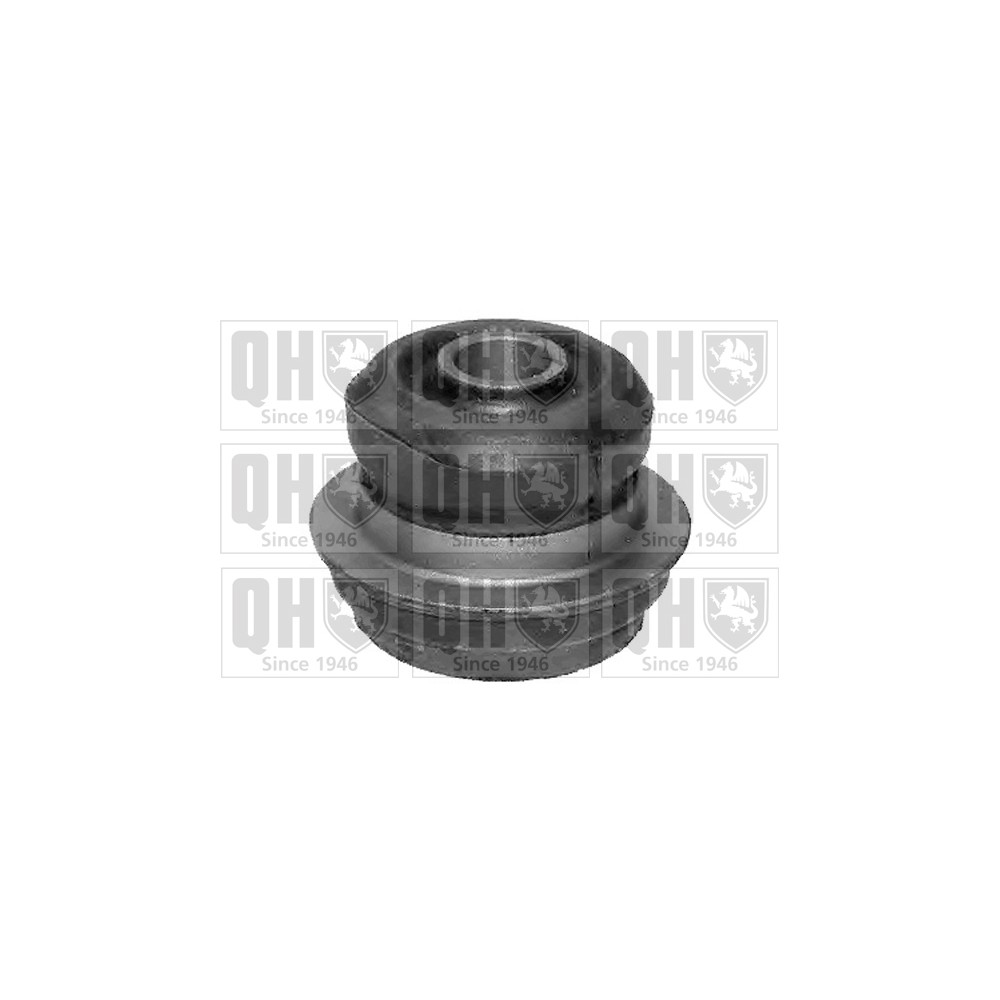 Image for QH EMS8115 Suspension Arm Bush - Front Lower LH & RH (Front)