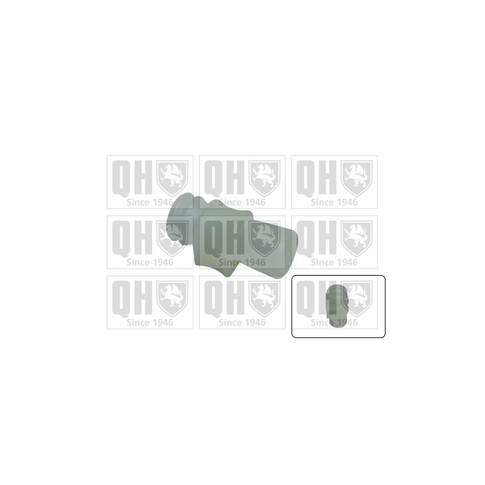 Image for QH EMB7020 Stabiliser Bar Bush - Front LH & RH (Outer)