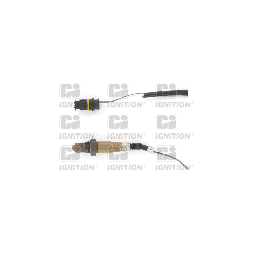 Image for Oxygen Sensor