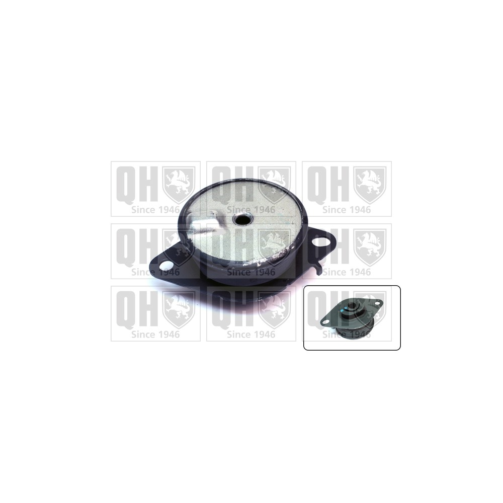 Image for QH EM4690 Engine Mounting