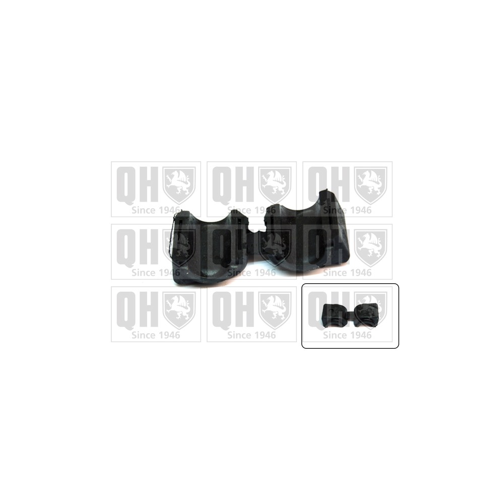 Image for QH EMB7168 Stabiliser Bar Bush - Front LH & RH (Outer)