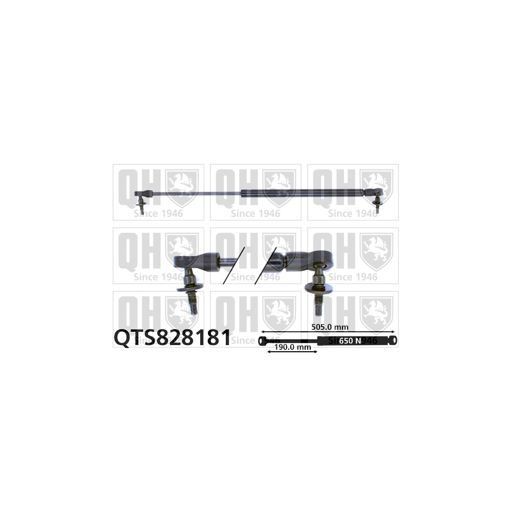 Image for QH QTS828181 Gas Spring