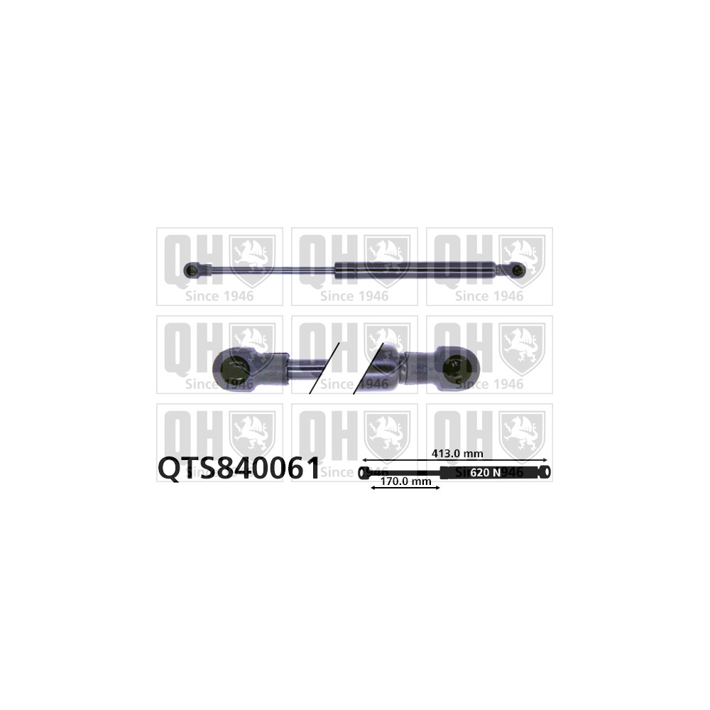 Image for QH QTS840061 Gas Spring