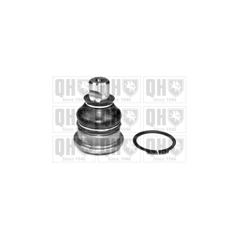 Image for QH QSJ3775S Ball Joint - Front Lower LH & RH