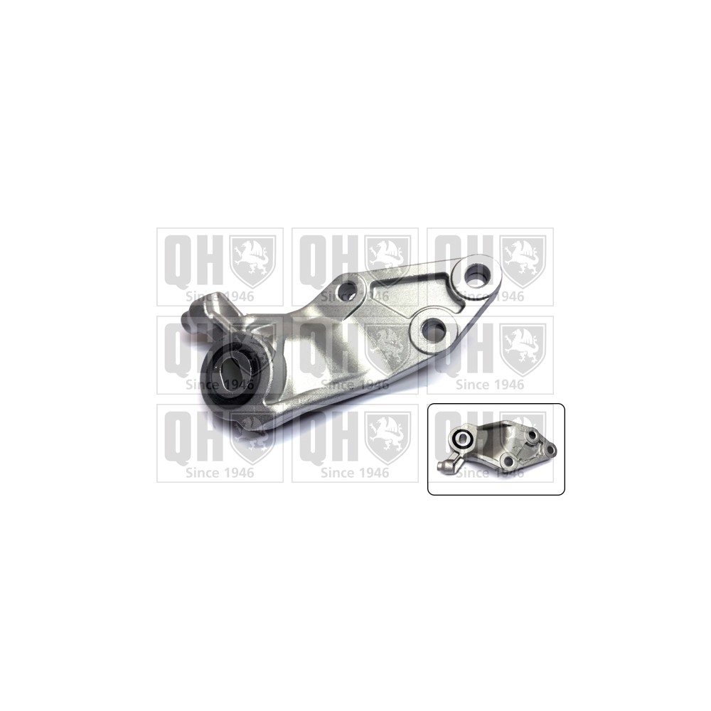 Image for QH EM4828 Engine Mounting