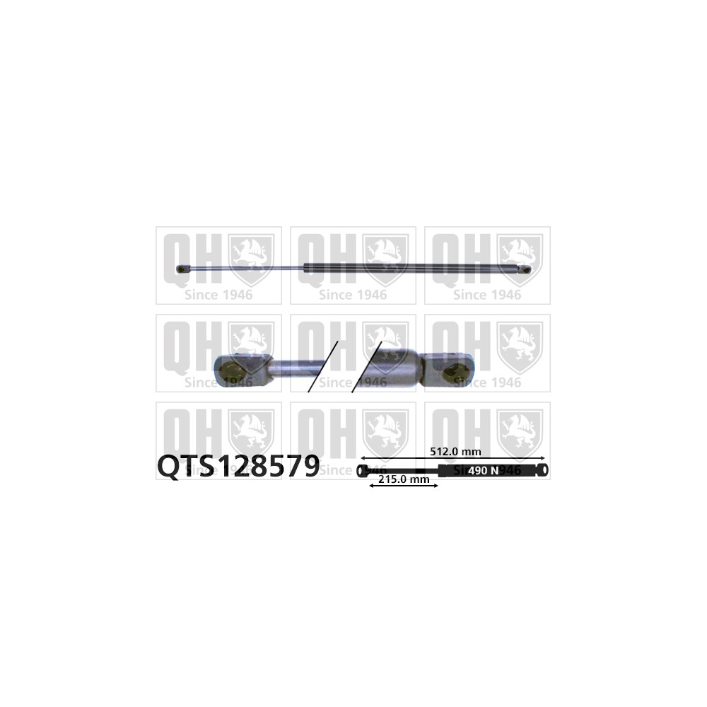 Image for QH QTS128579 Gas Spring