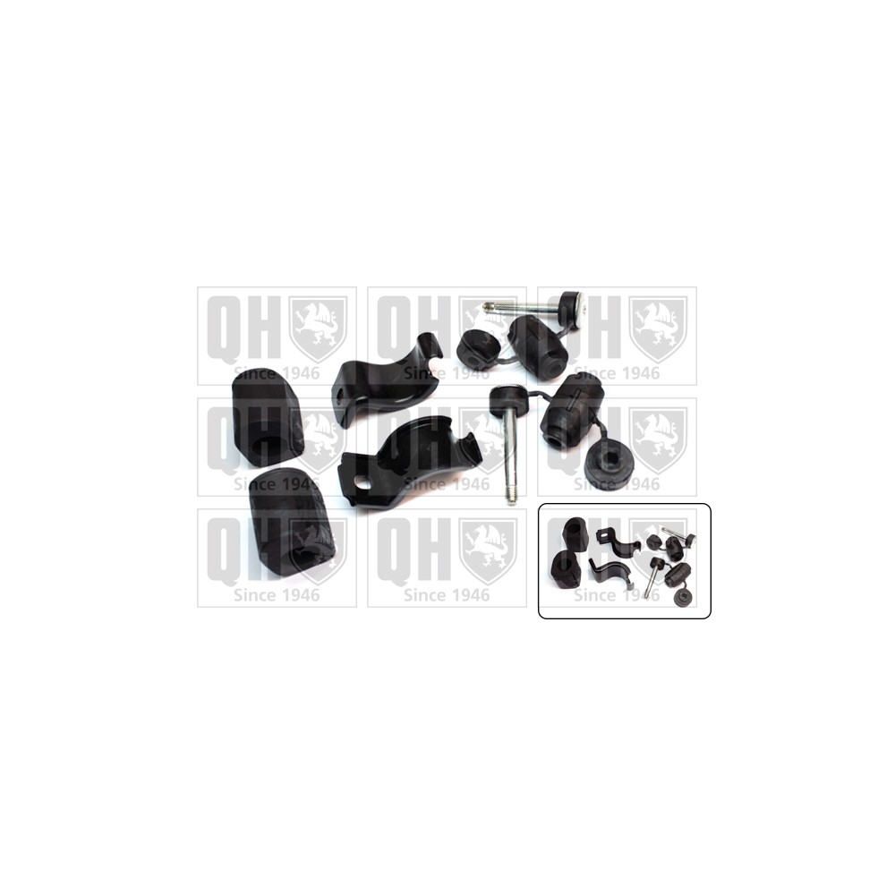 Image for QH EMBK2659 Stabiliser Bar Bush Kit - Front LH & RH (Outer)