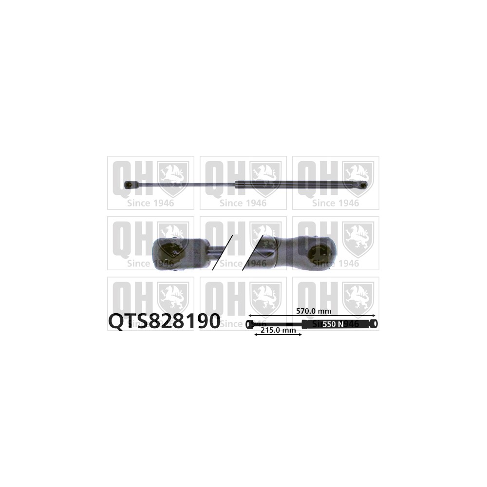 Image for QH QTS828190 Gas Spring