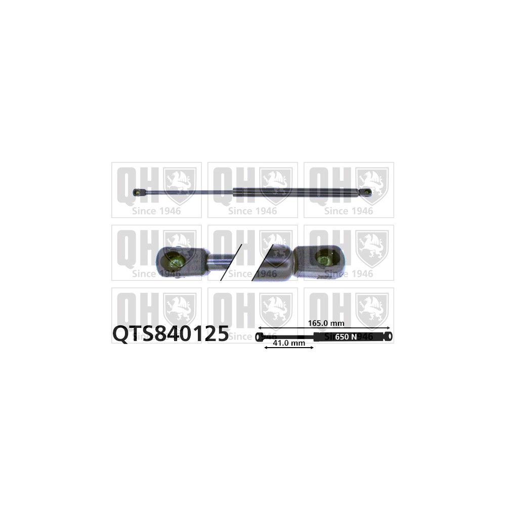 Image for QH QTS840125 Gas Spring