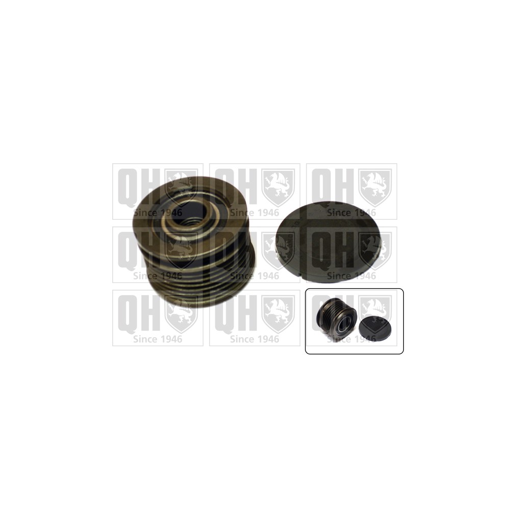 Image for Free Wheel Clutch Pulley