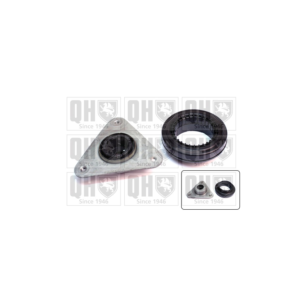 Image for QH EMA4978 Top Strut Mounting- inc Bearing