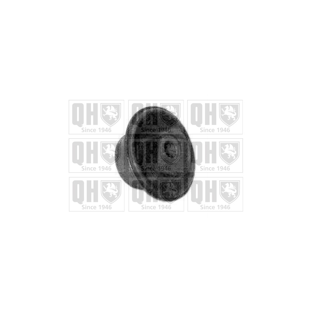 Image for QH EMS2433 Suspension Arm Bush - Rear LH & RH