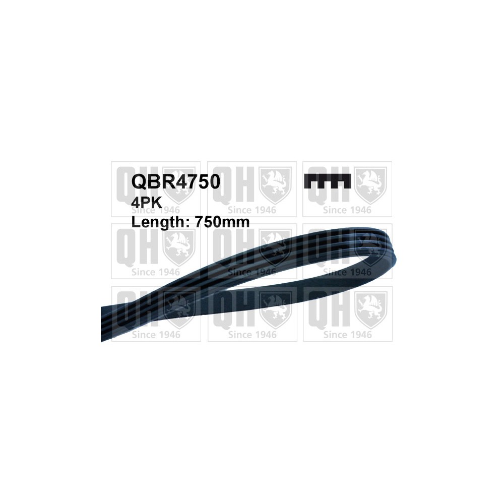 Image for QH QBR4750 MULTI-RIBBED BELT
