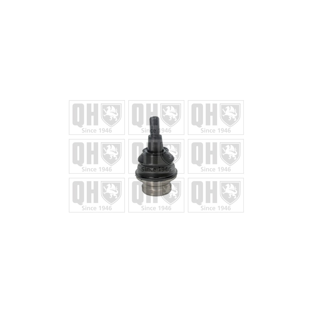 Image for QH QSJ3774S Ball Joint - Front Lower LH & RH