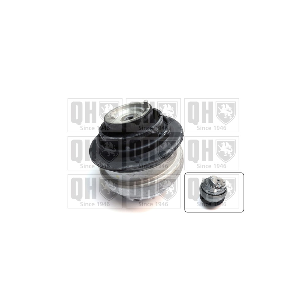 Image for QH EM4801 Engine Mounting