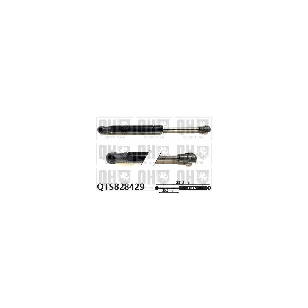 Image for QH QTS828429 Gas Spring