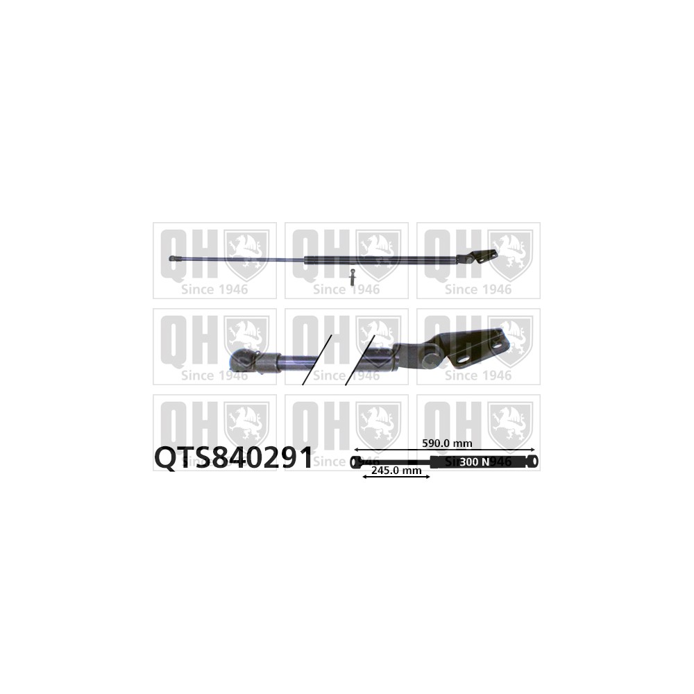 Image for QH QTS840291 Gas Spring