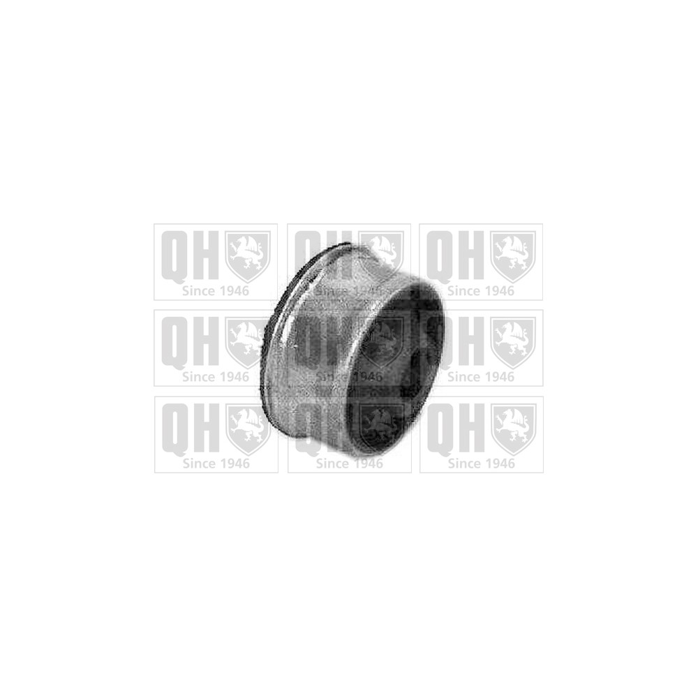 Image for QH EMS1850 Suspension Arm Bush - Front Lower LH & RH (Rear)