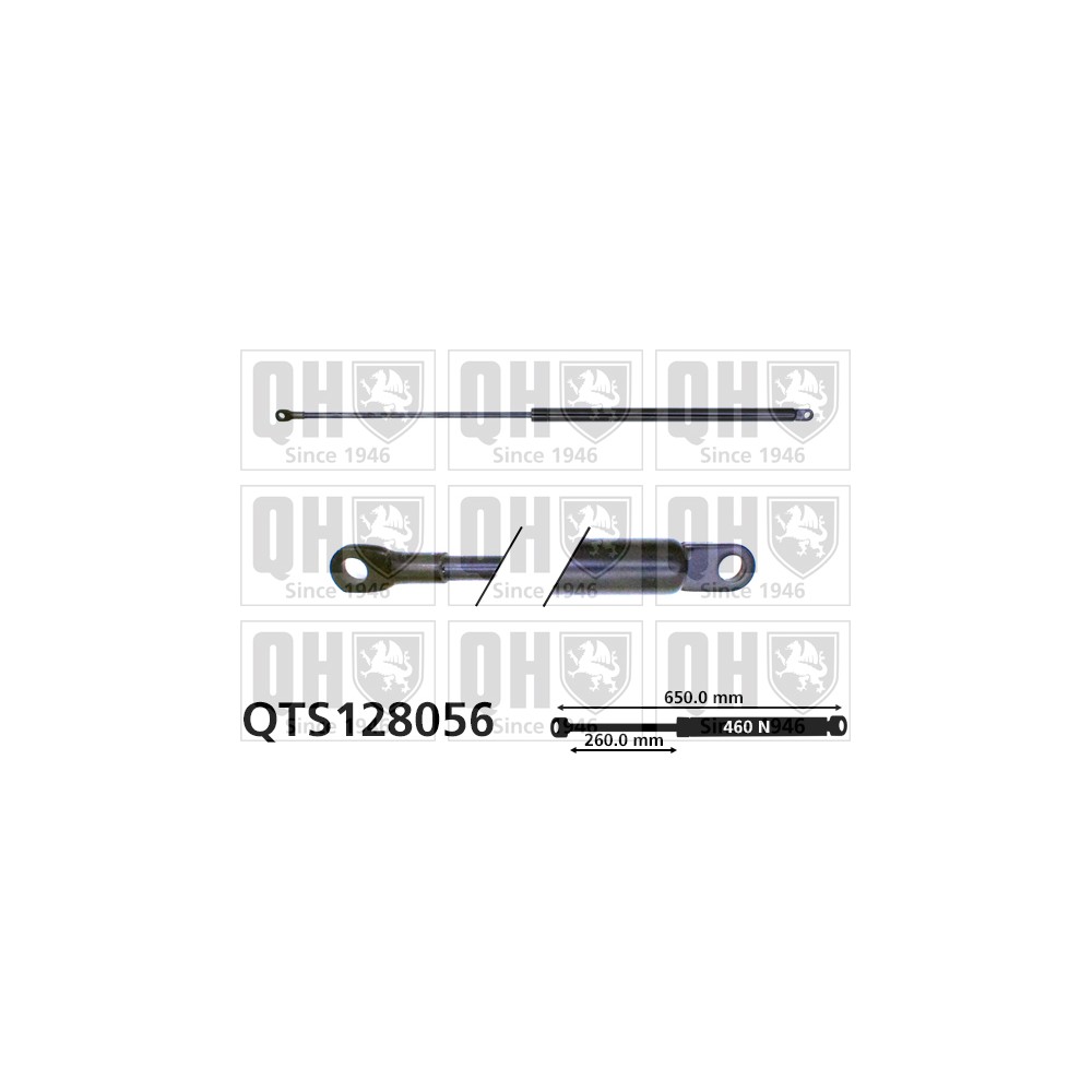 Image for QH QTS128056 Gas Spring