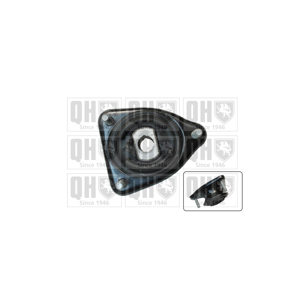 Image for QH EMR6017 Top Strut Mounting - Rear exc.Bearing LH & RH