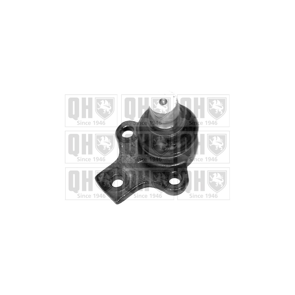 Image for QH QSJ1141S Ball Joint - Front Lower LH & RH