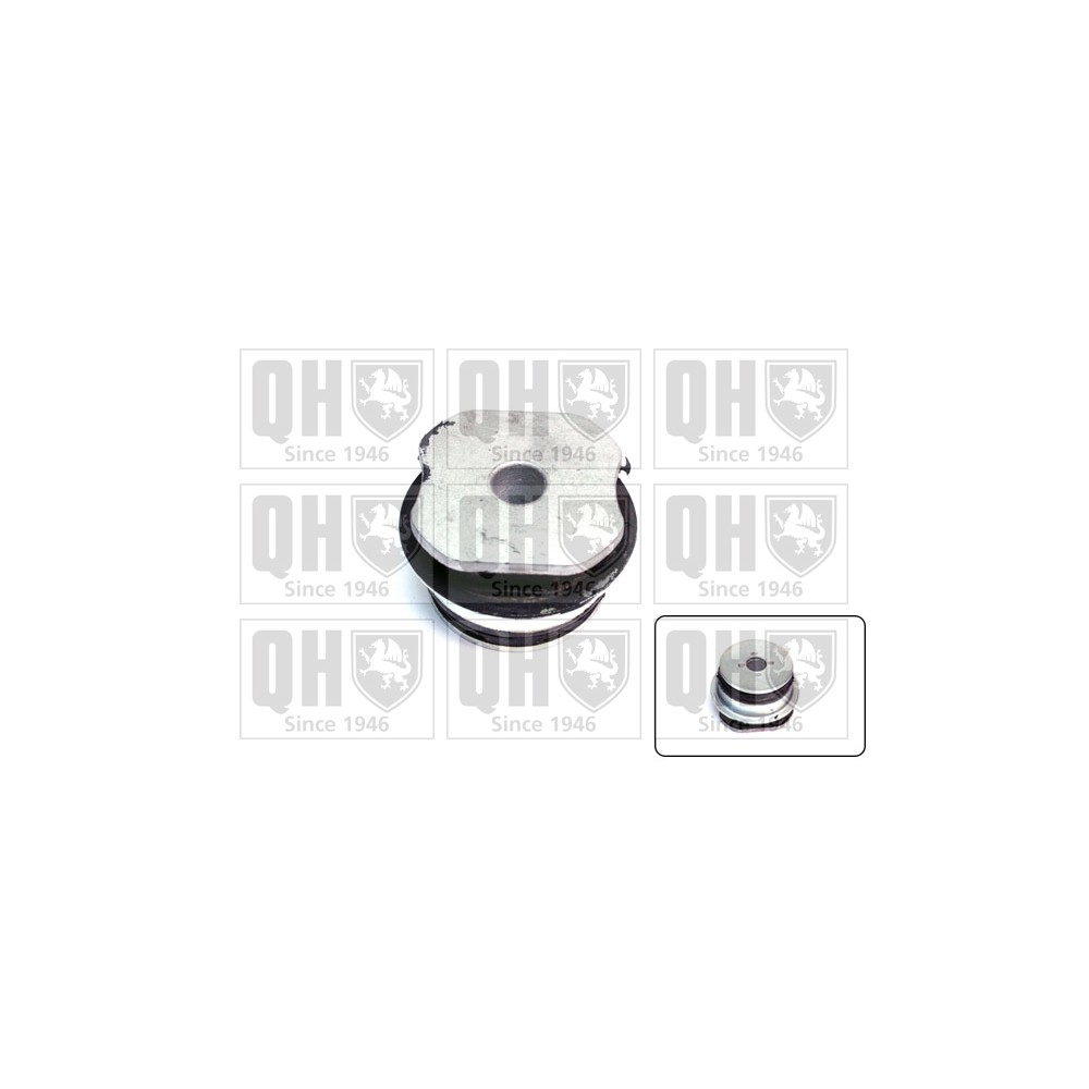 Image for QH EM3083 Suspension Arm Bush - Rear LH & RH (Front)