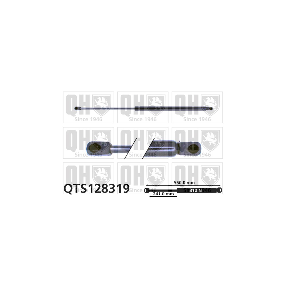 Image for QH QTS128319 Gas Spring