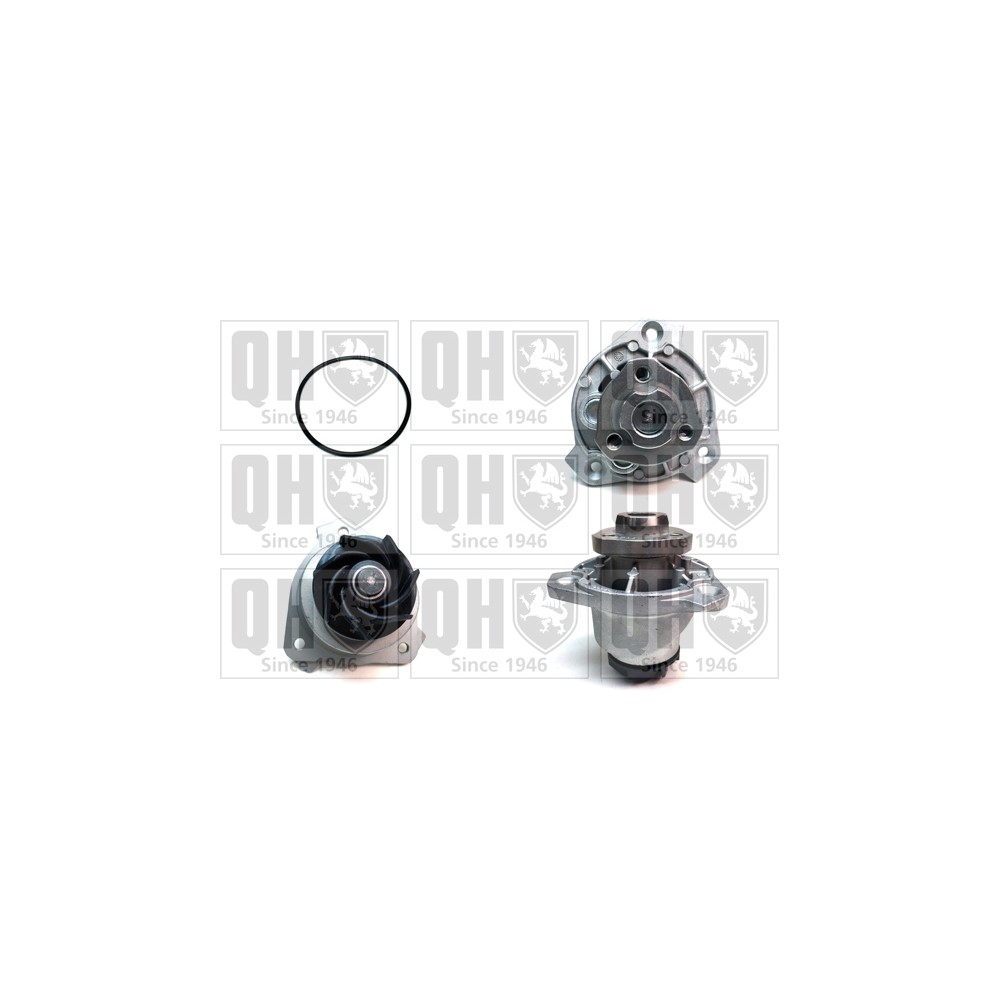 Image for QH QCP3369 Water Pump