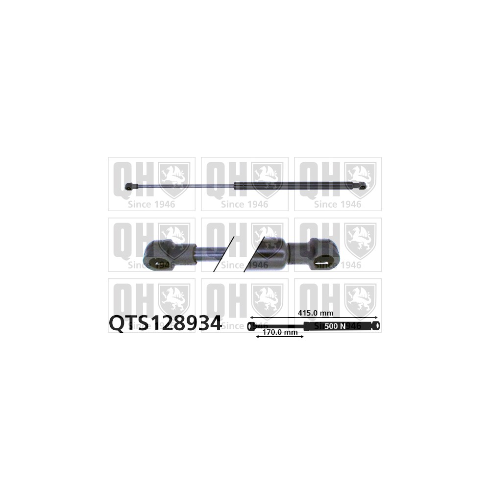 Image for QH QTS128934 Gas Spring