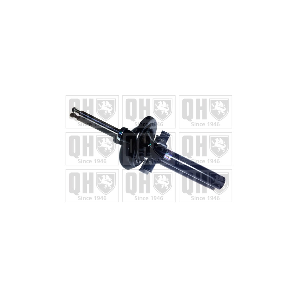 Image for QH QAG178989 Shock Absorber