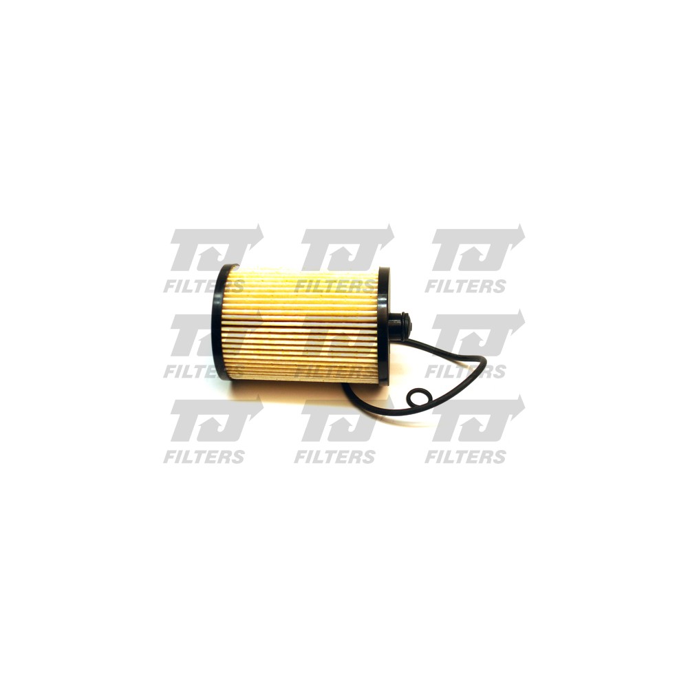 Image for TJ QFF0049 Fuel Filter