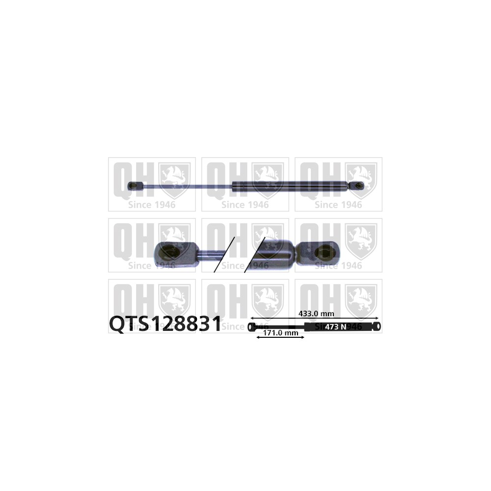 Image for QH QTS128831 Gas Spring