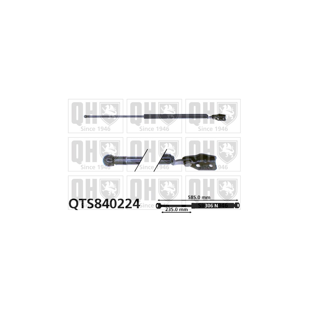 Image for QH QTS840224 Gas Spring