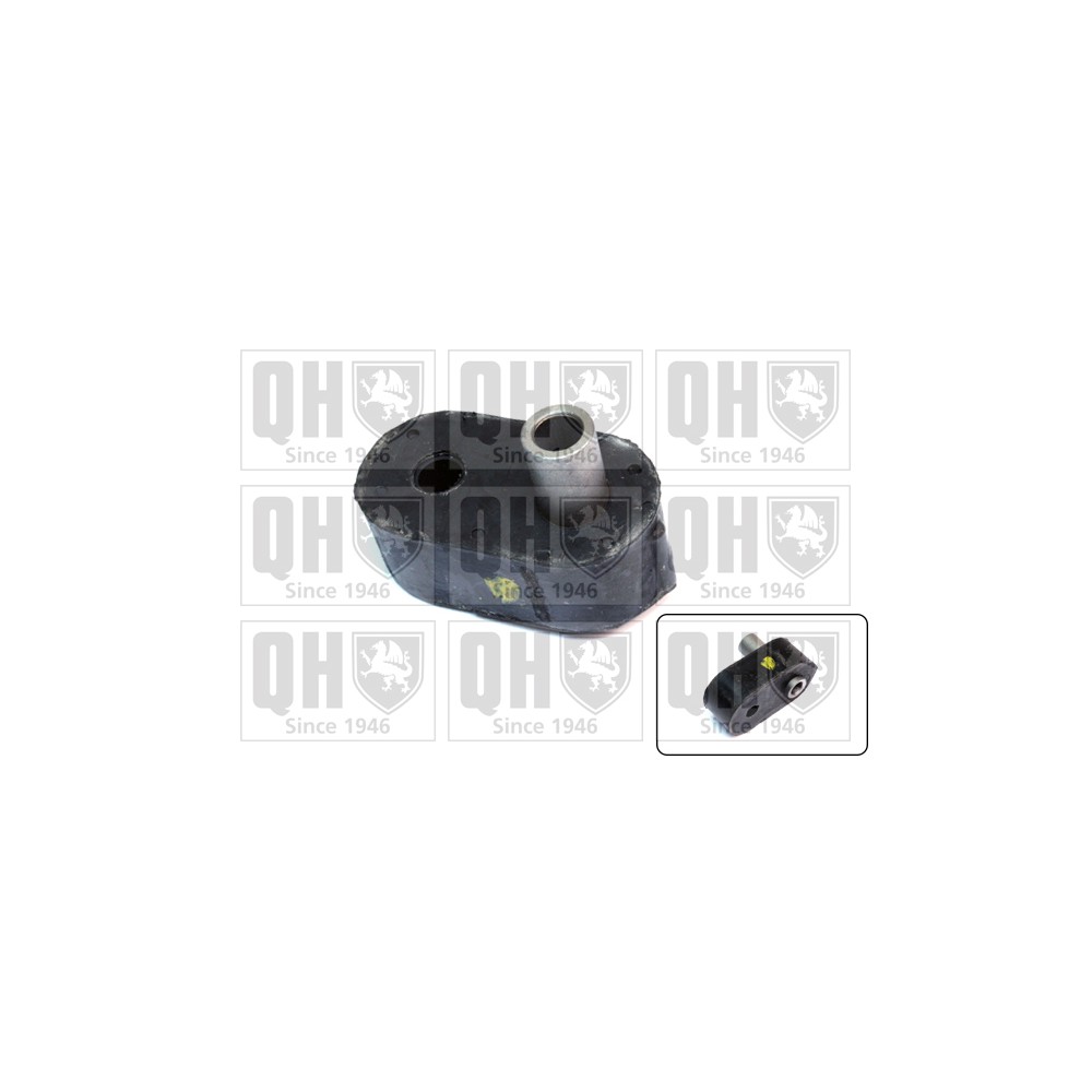 Image for QH EMB2036 Stabiliser Bar Bush - Front LH & RH (Outer)