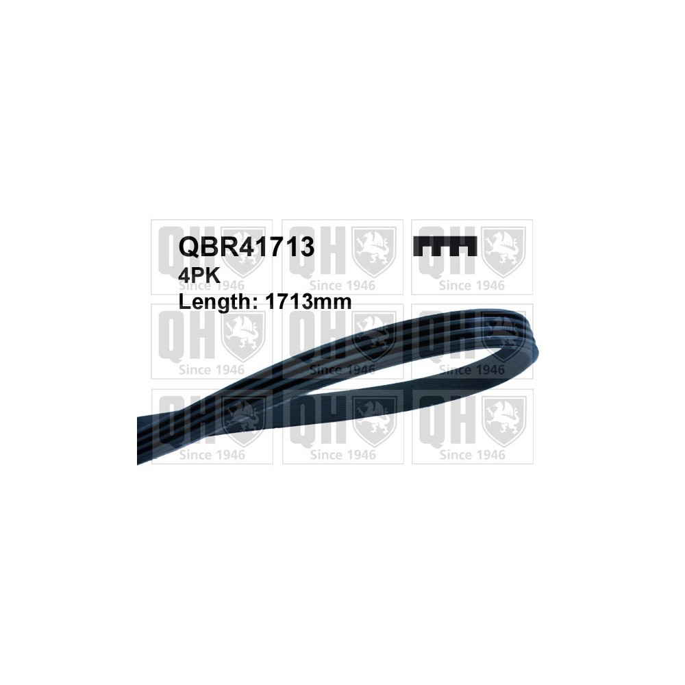 Image for QH QBR41713 Drive Belt