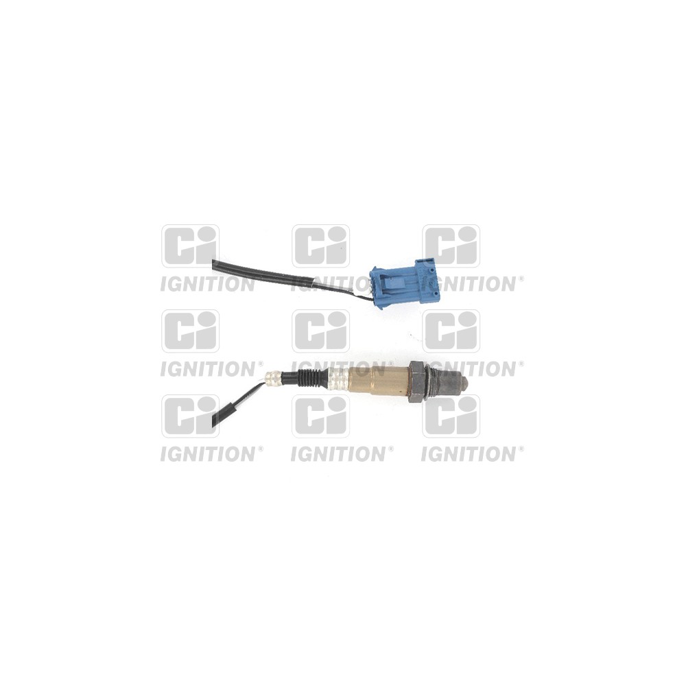 Image for CI XLOS1111 Oxygen Sensor