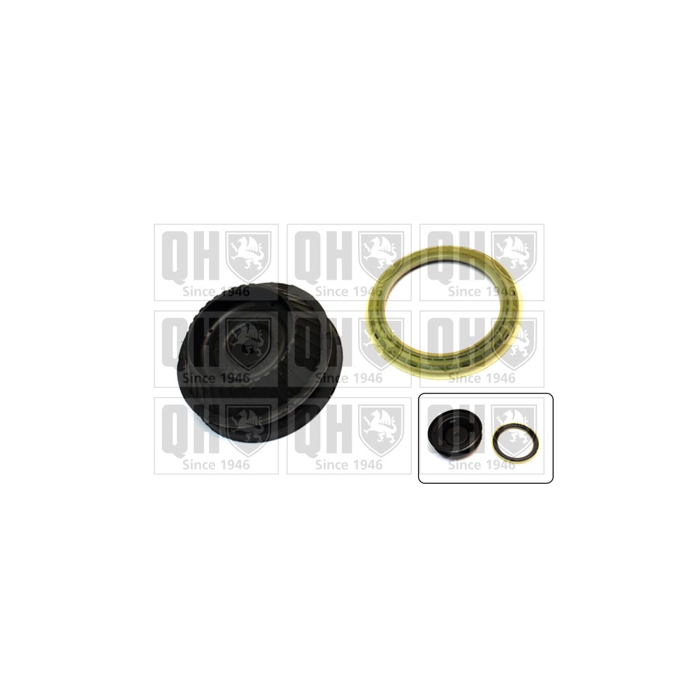 Image for QH EMA6024 Top Strut Mounting - Front inc.Bearing LH & RH