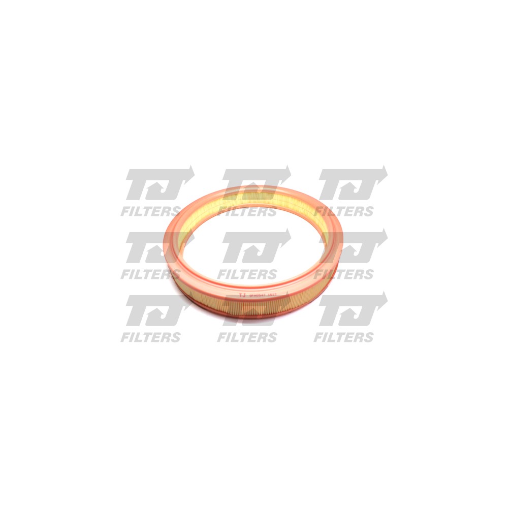 Image for TJ QFA0547 Air Filter