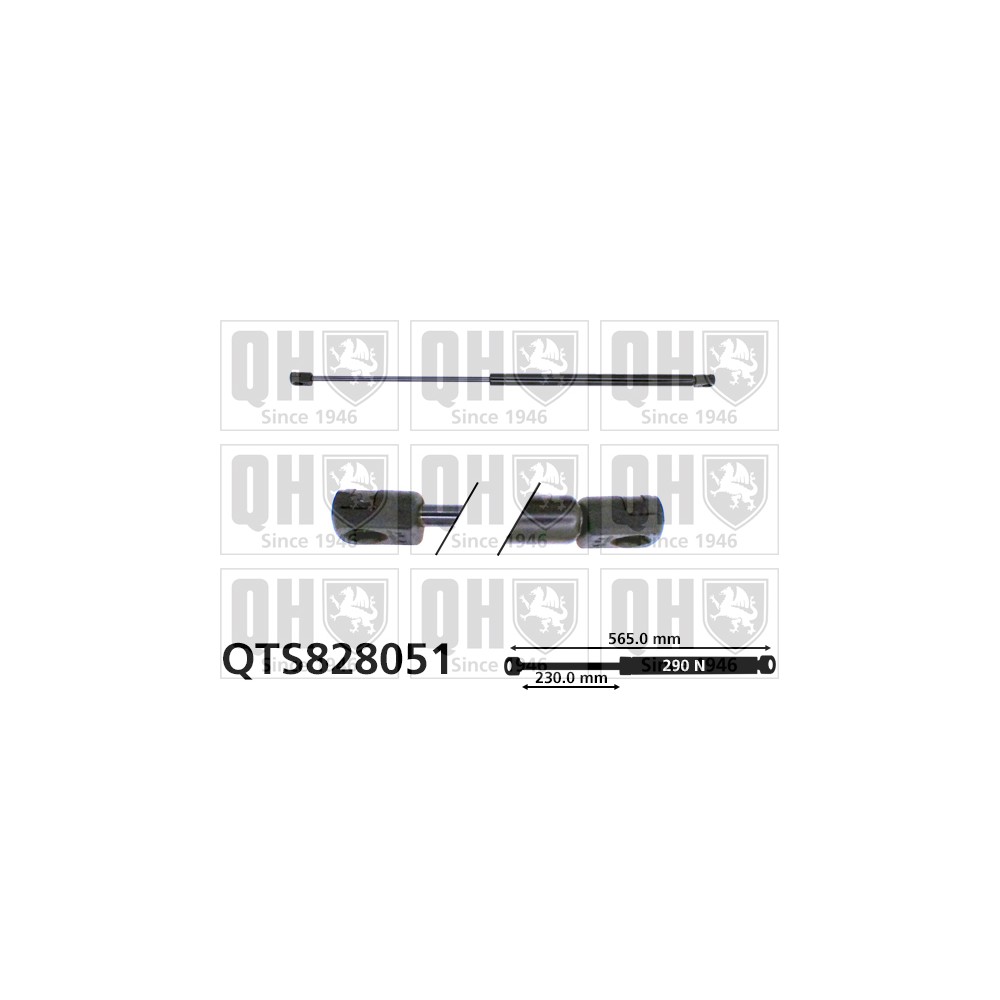 Image for QH QTS828051 Gas Spring