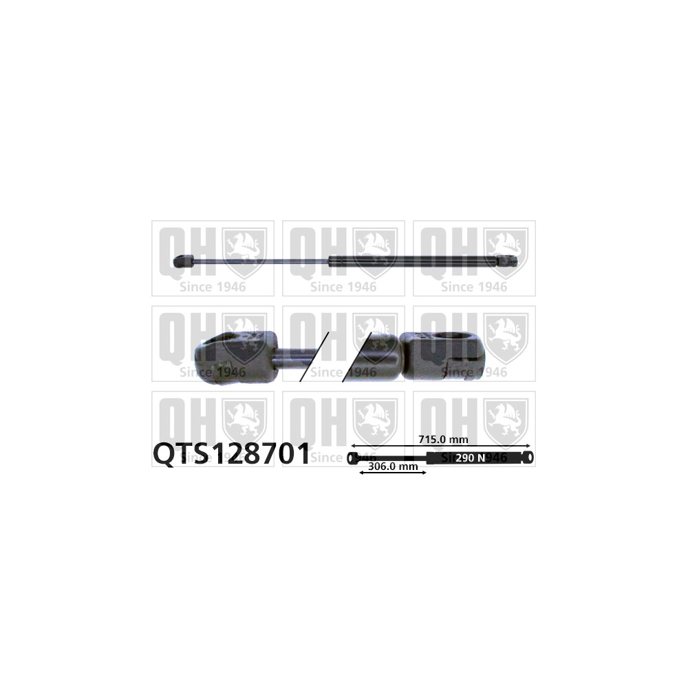 Image for QH QTS128701 Gas Spring