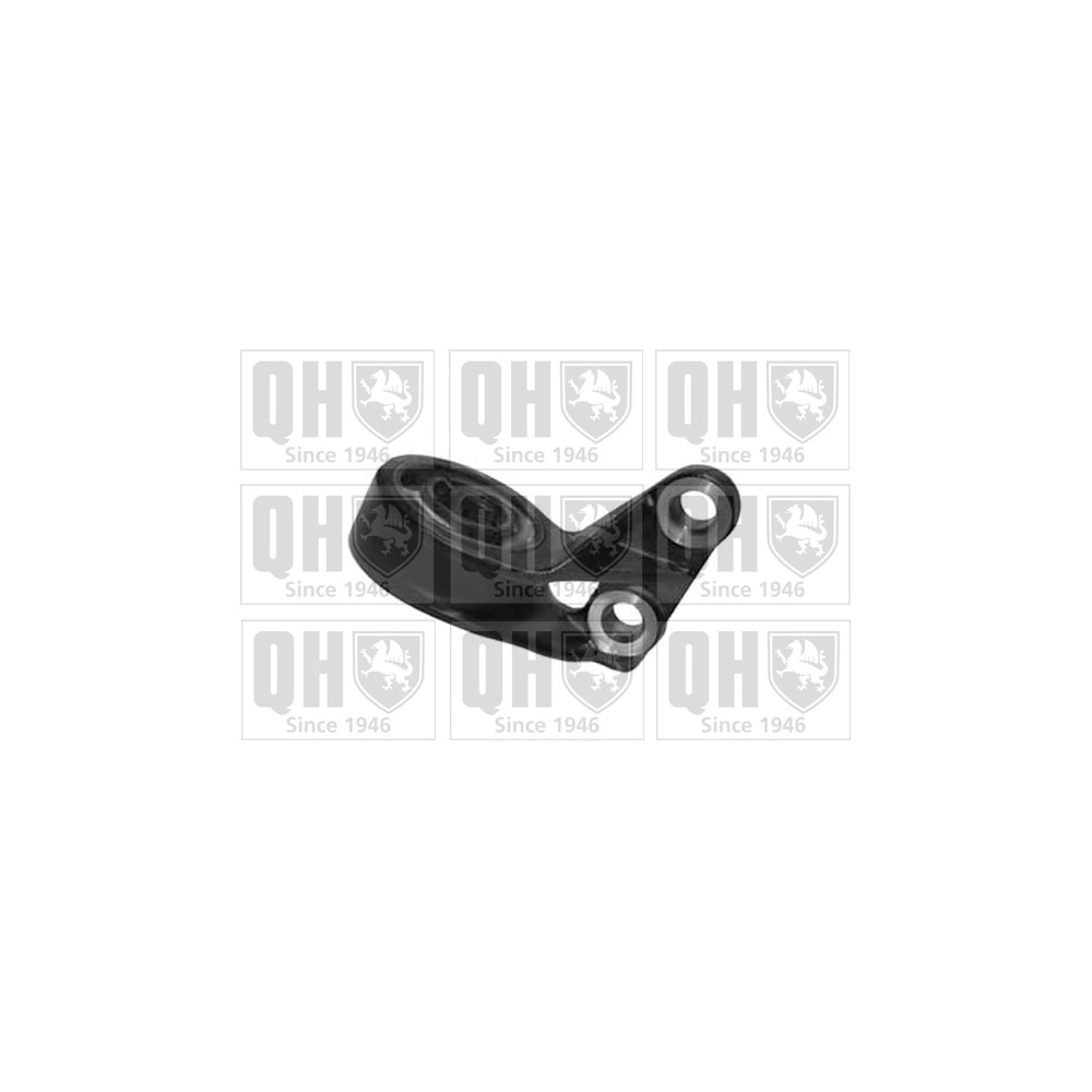 Image for QH EMS8221 Suspension Arm Bush - Front Lower LH (Rear)