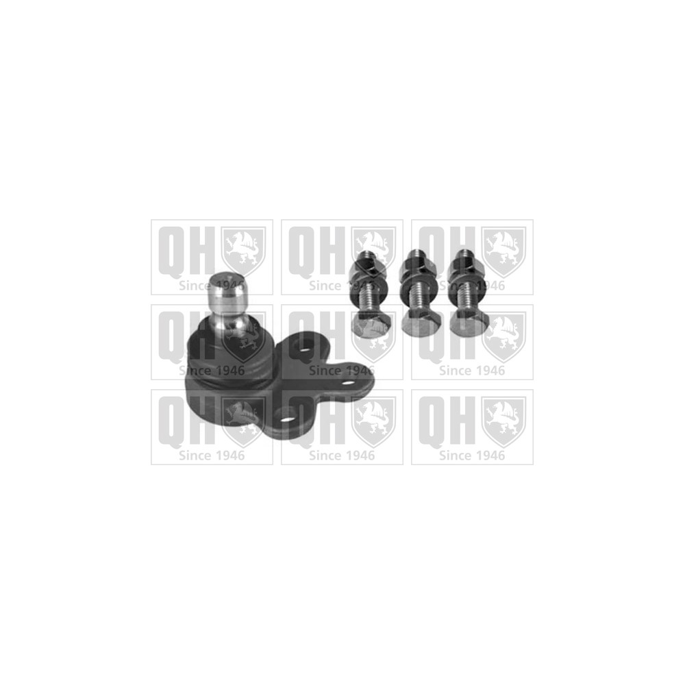 Image for QH QSJ3755S Ball Joint - Front Lower LH & RH