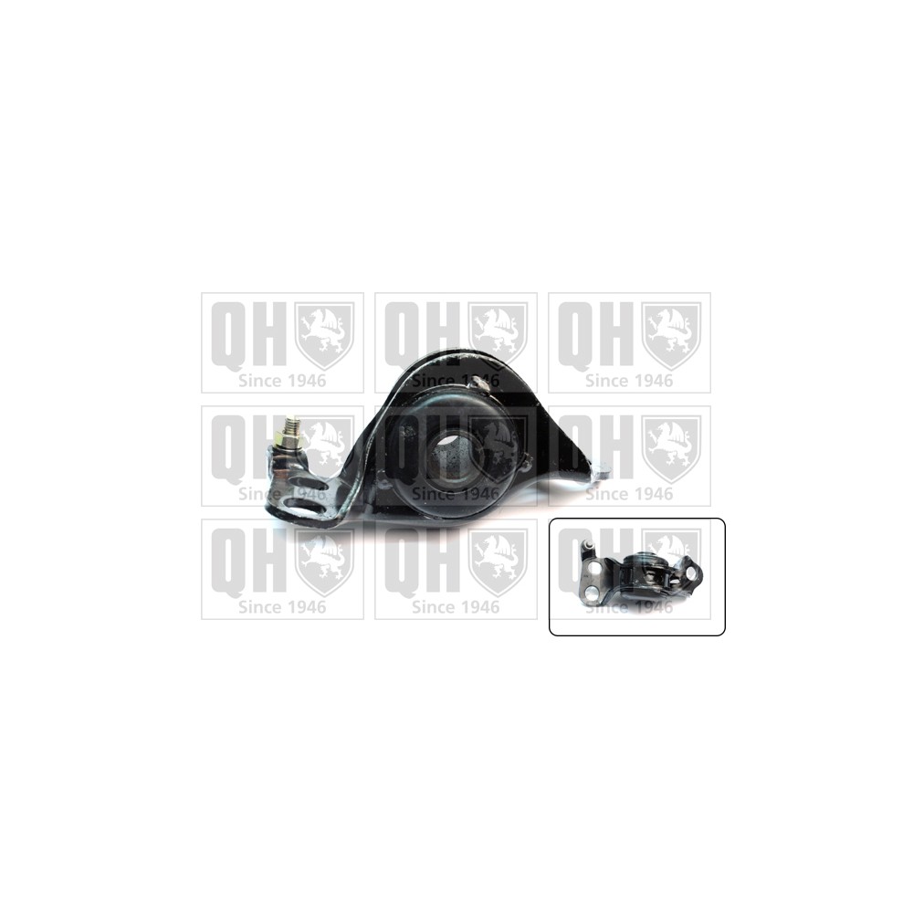 Image for QH EMS8276 Suspension Arm Bush - Front Lower RH (Rear)