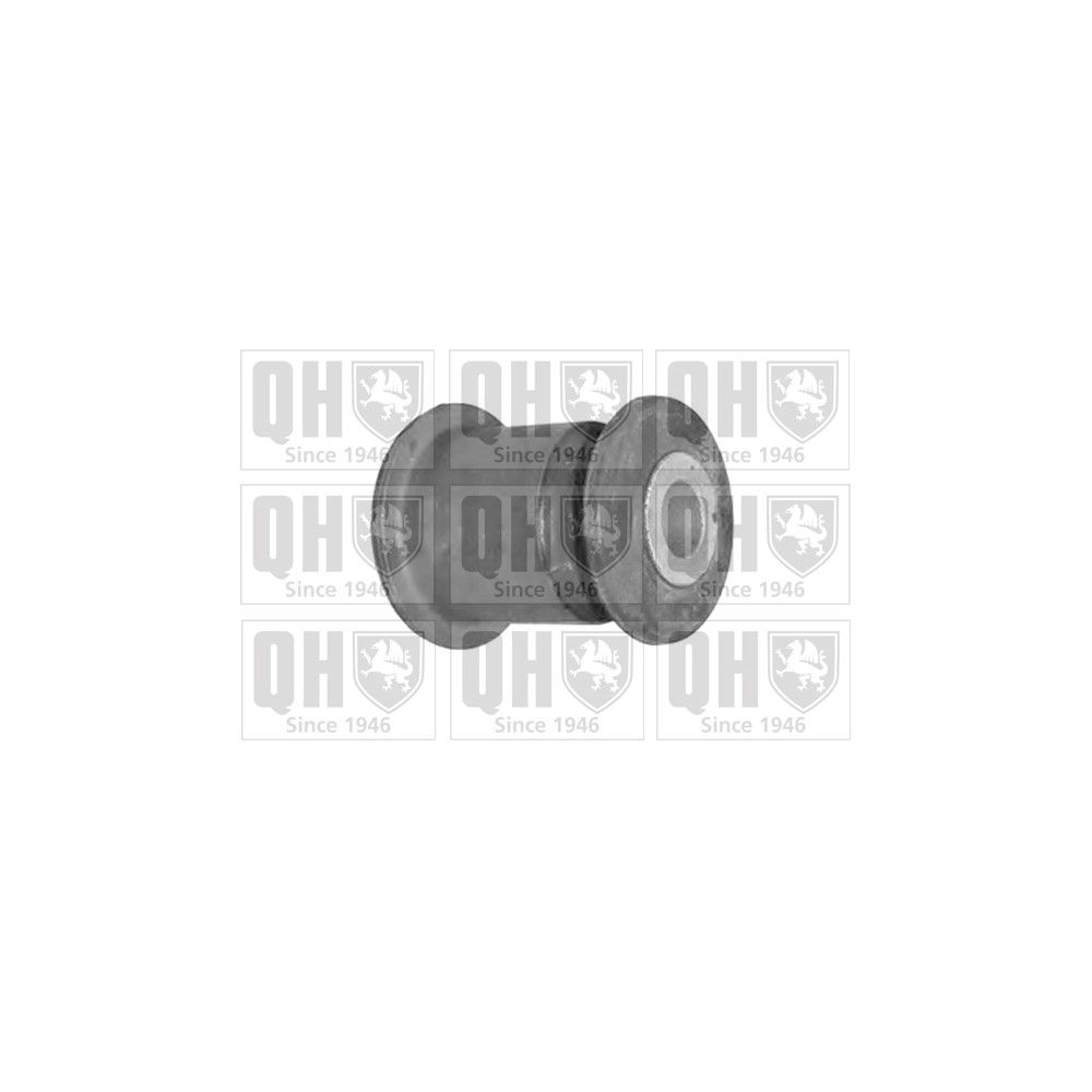 Image for QH EMS8383 Suspension Arm Bush - Front Lower LH & RH (Front)