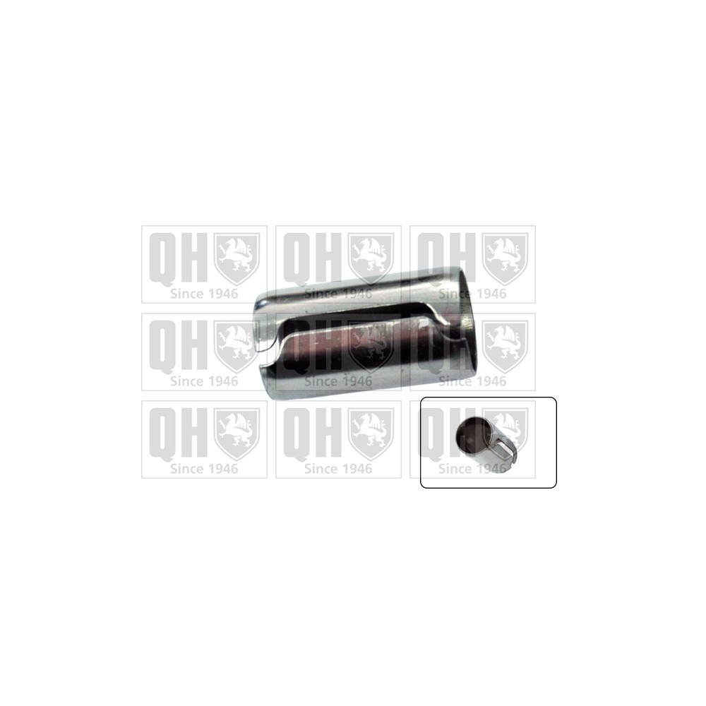 Image for QH EMS1961 Suspension Arm Bush - Front Lower LH & RH (Rear)