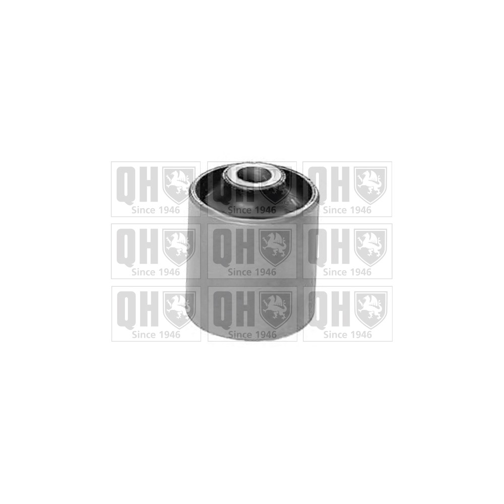 Image for QH EMS8318 Suspension Arm Bush - Rear Lower LH & RH