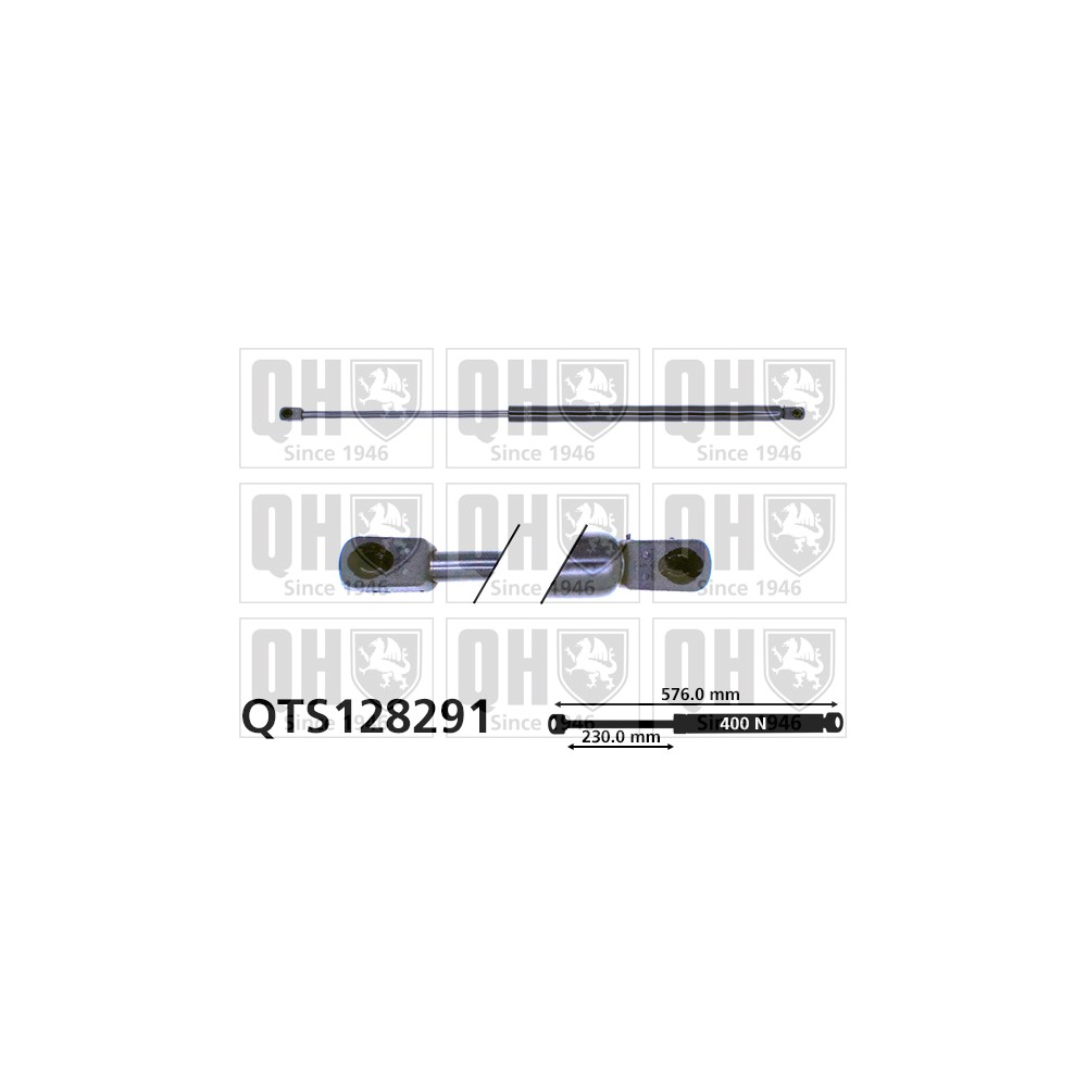 Image for QH QTS128291 Gas Spring