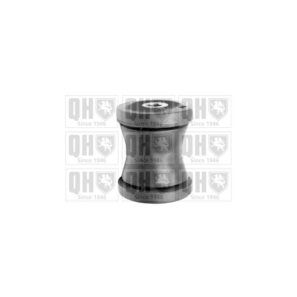 Image for QH EMS8298 Suspension Arm Bush - Rear Lower LH & RH (Front)