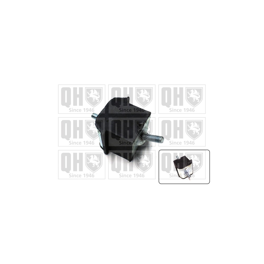 Image for QH EM4398 Engine Mounting